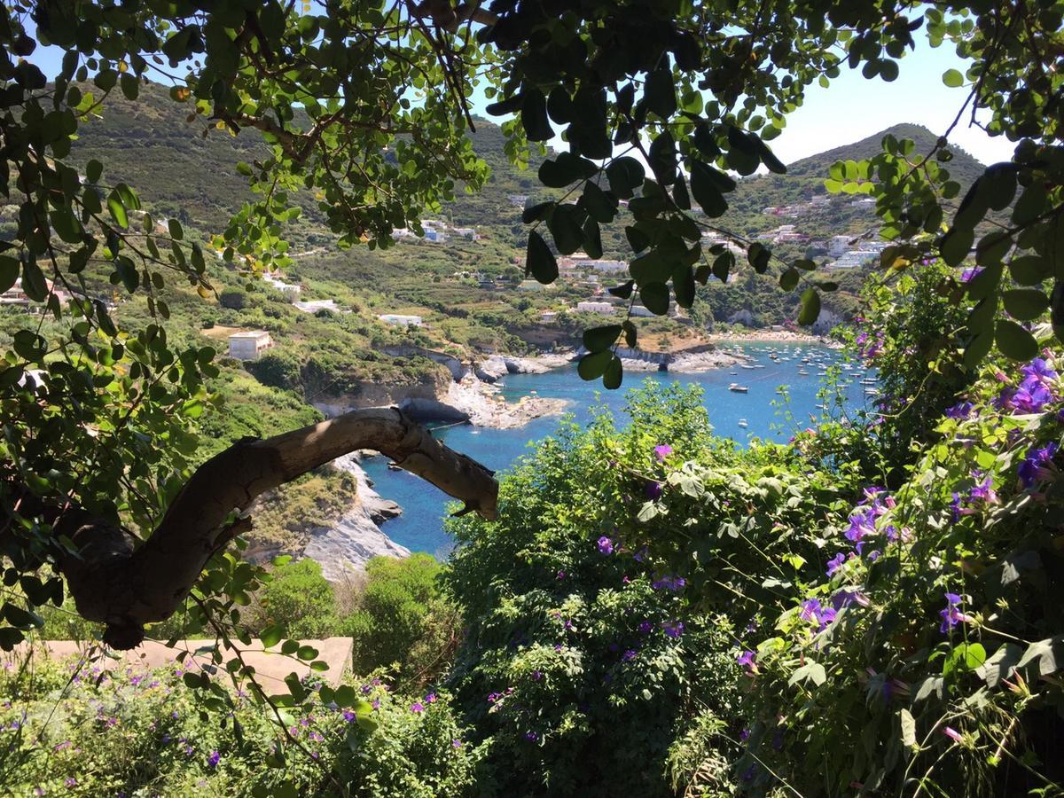 Hotel Ortensia Ponza Exterior photo